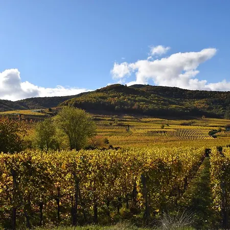 Holiday home S'hisla Im Raabland Voegtlinshoffen